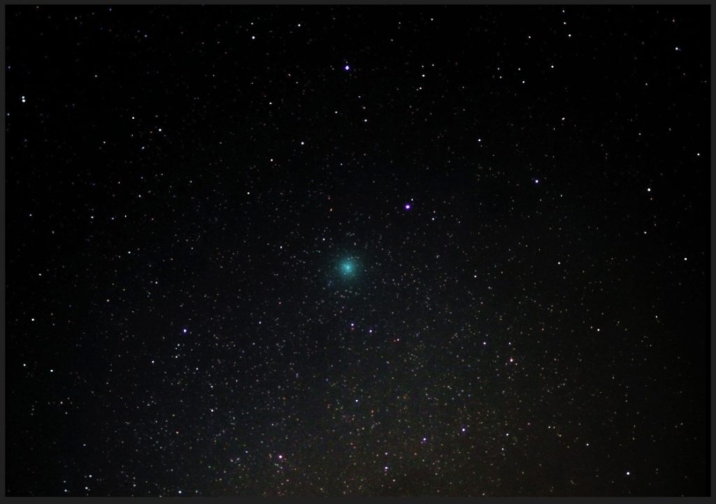 252P Linear