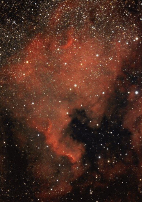 2020.09. NGC-7000 Paul Brierley