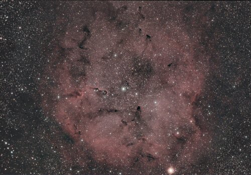 2020.10. IC1396 2 J.Fathers