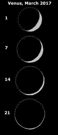Sequence of Venus phases