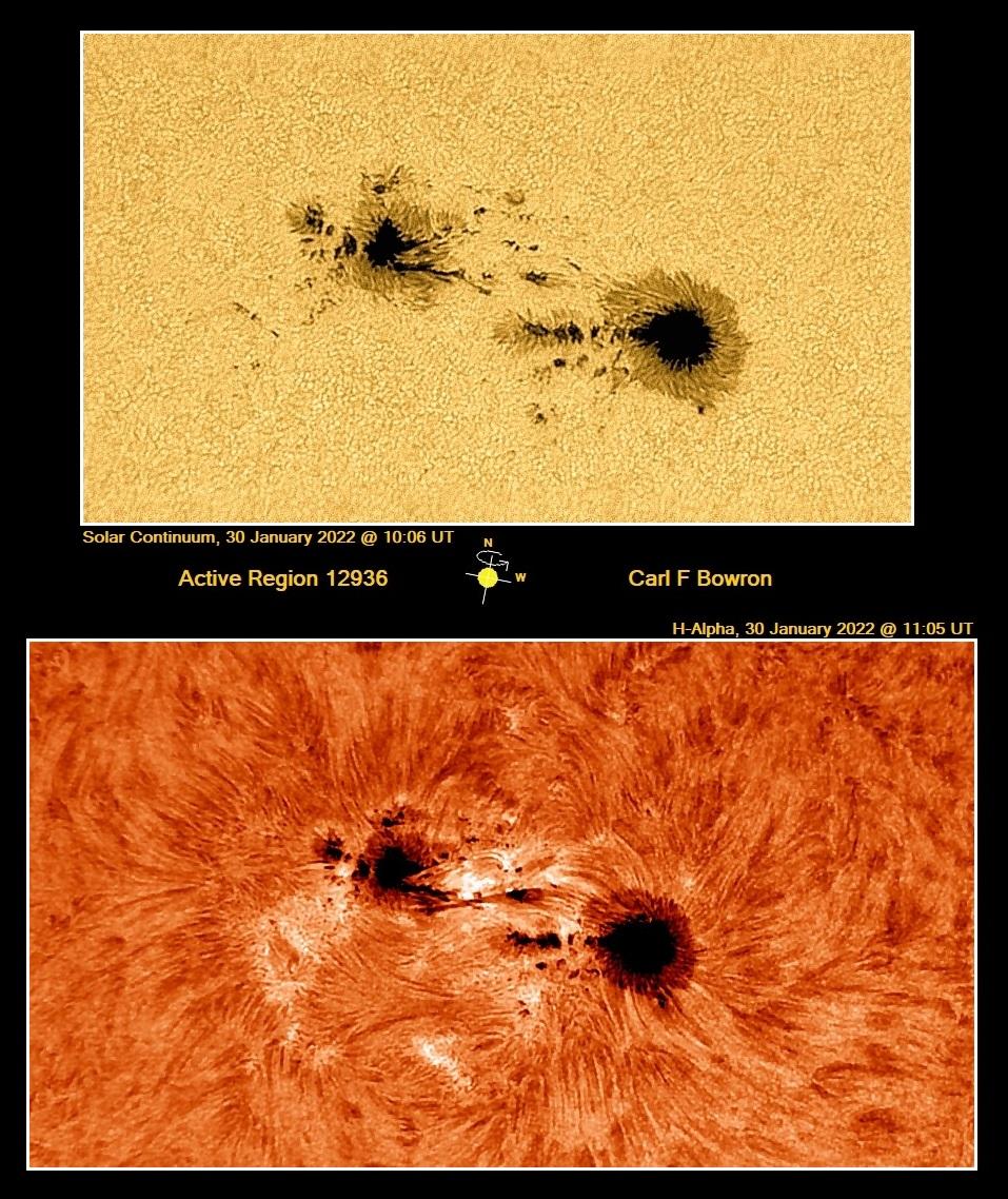 2022 January 30 @1006-1106UT White Light and Ha images of AR2936 by Carl Bowron