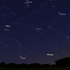 Variable stars