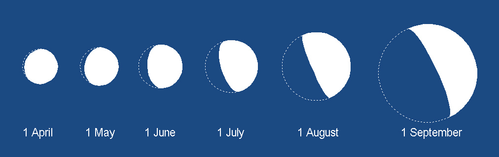 Venus diameter