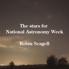 Learn the November sky