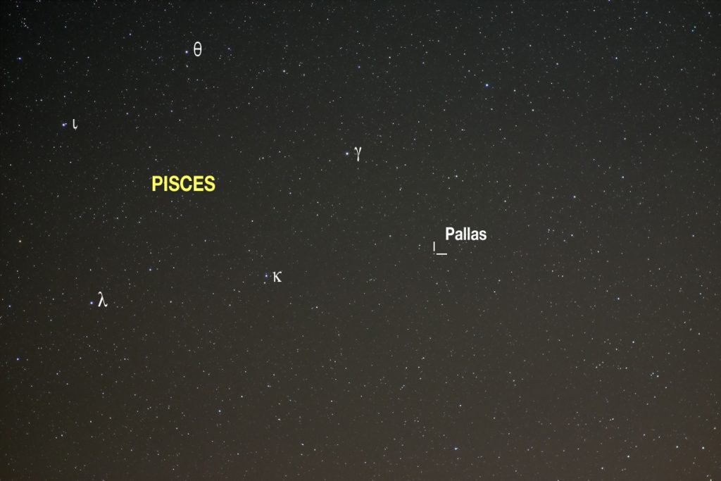 Pallas