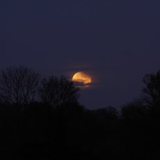 Moon goes dim this Friday Moon goes dim this Friday