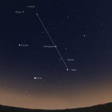 Exploring Gemini