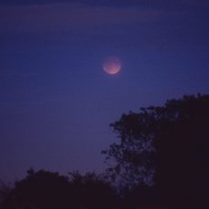 An early morning lunar eclipse An early morning lunar eclipse