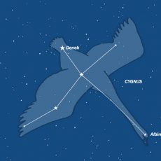Summer stargazing in Cygnus Summer stargazing in Cygnus