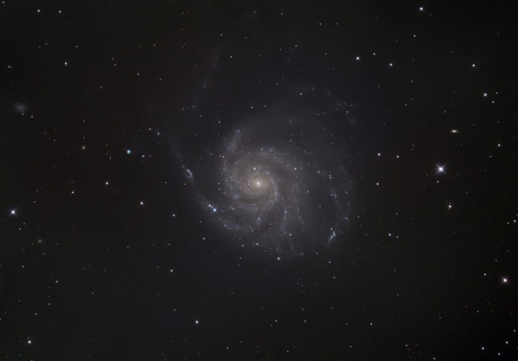 M101