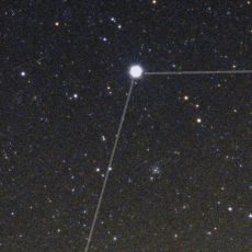 Sirius shines bright in the January sky Sirius shines bright in the January sky