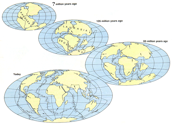 Pangea